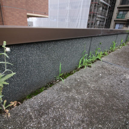 雑草が生えた外壁